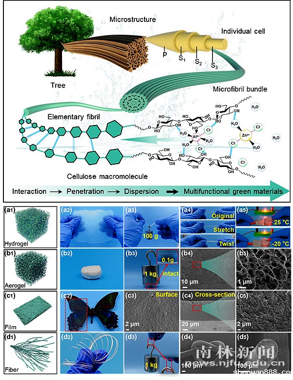 图片1_副本_48766图片1_副本