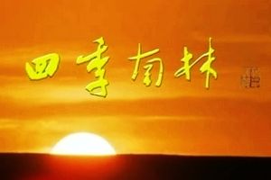 四季南林