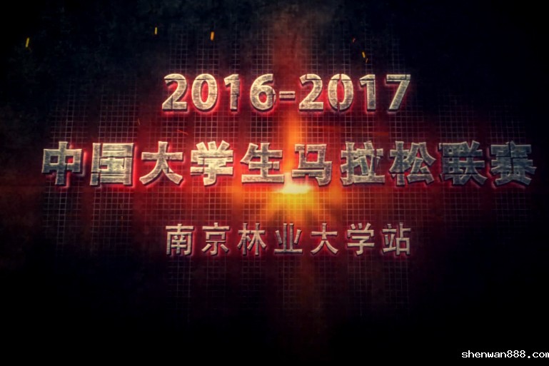 中国大学生马拉松联赛