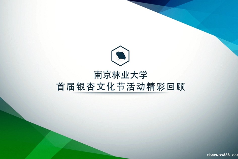 星空·综合体育APP首届银杏文化节活动精彩回顾