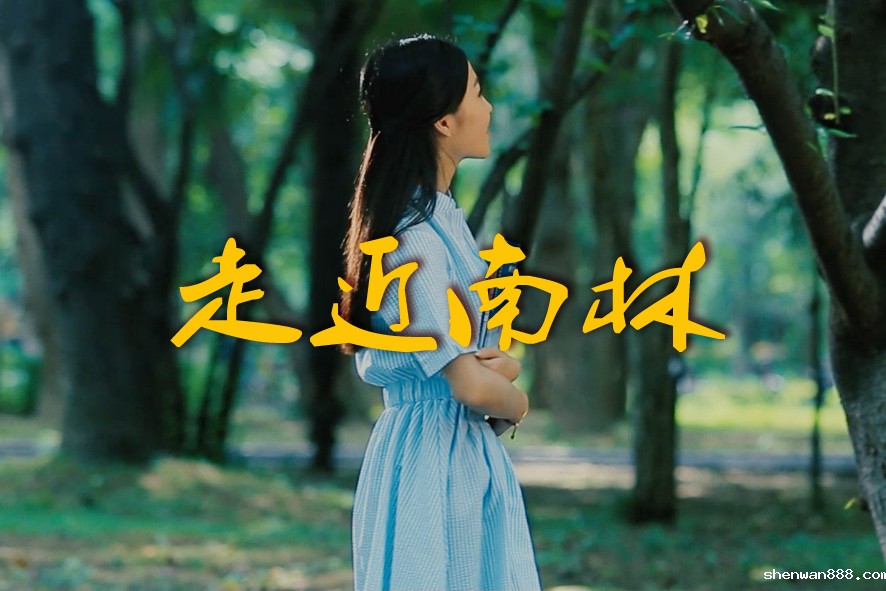 走近南林